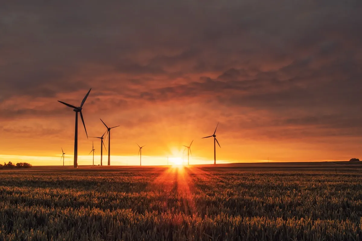 Ground-Mounted Solar: When It Makes Sense and What It Costs